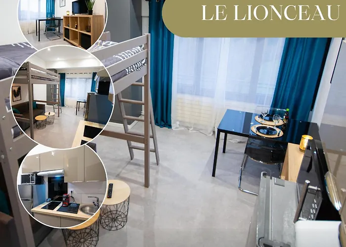 Le Lionceau, Proche Ville, Fibre&Netflix, Parking