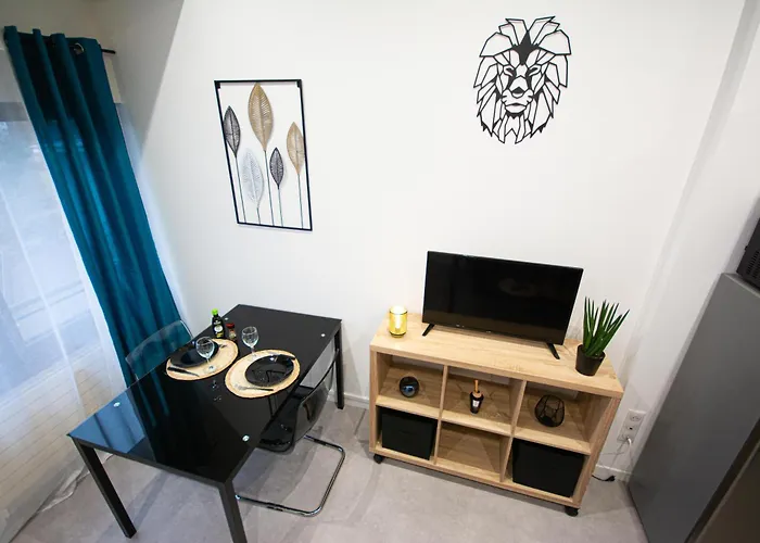 Le Lionceau, Proche Ville, Fibre&Netflix, Parking