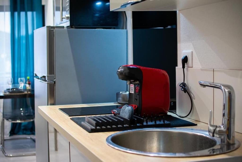 Apartment Le Lionceau, Proche Ville, Fibre&netflix, Parking