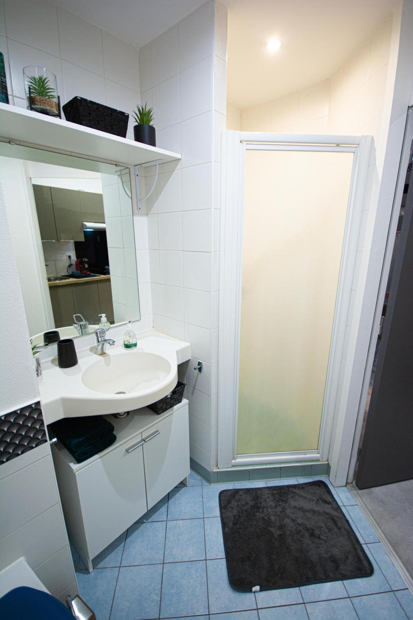 Apartment Le Lionceau, Proche Ville, Fibre&netflix, Parking Montbeliard